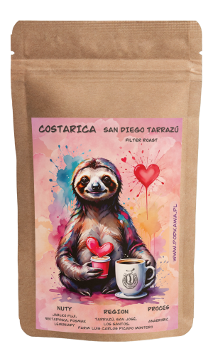 Costa Rica San Diego Tarrazú Anaerobic– Walentynkowa Edycja ❤️